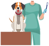 Anal Gland Removal Surgery