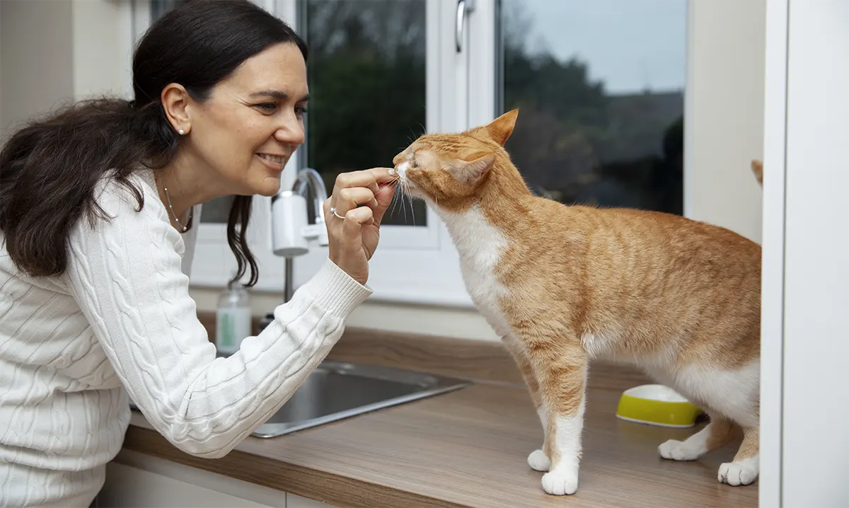 Nutrition Is the Foundation of Long-Term Health