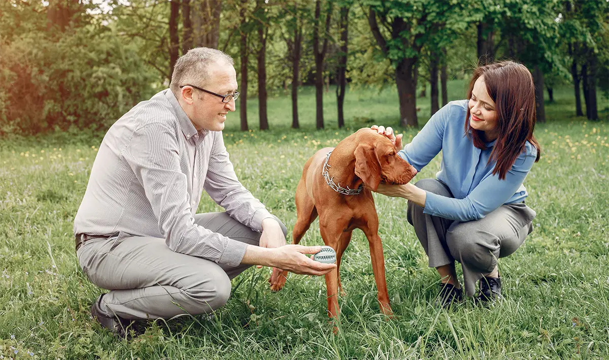 Supporting Both Wellness & Sick Visits