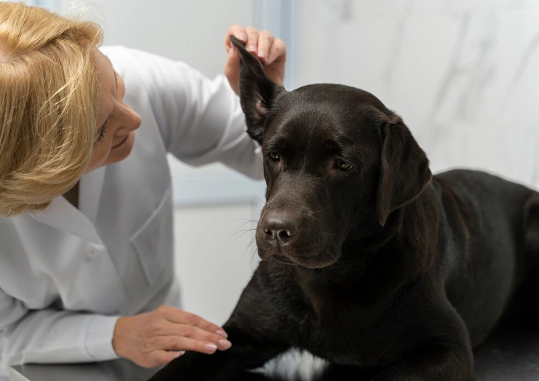 Pre-Surgical Planning & Pain Management