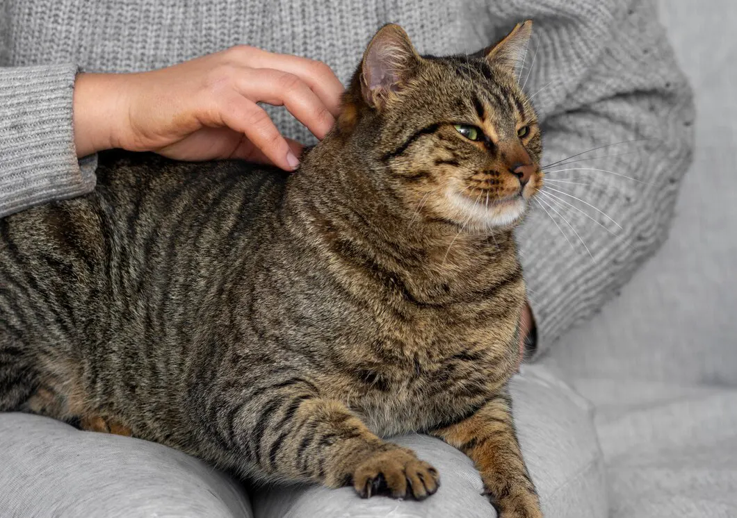 Safe, Quick, and Minimally Invasive