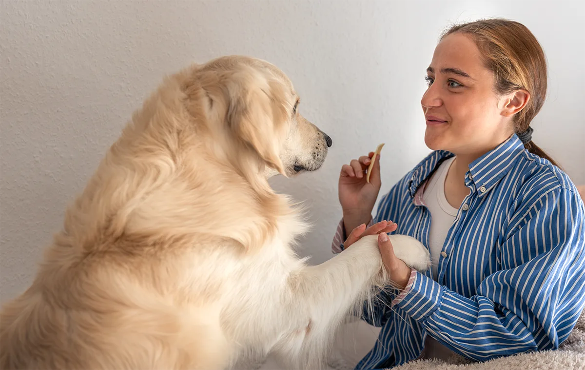 Faster Answers, Better Care