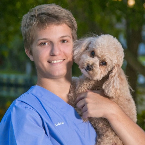 Dr. Aiden Martin Image