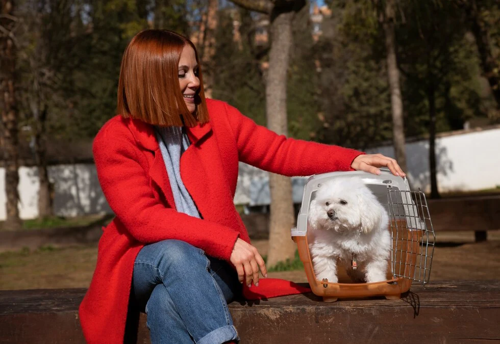 A Simple Way To Protect Your Pet for Life