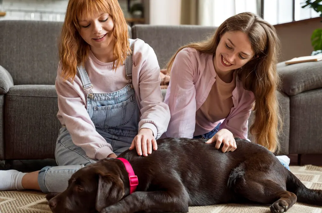 When Should Pets Be Microchipped?