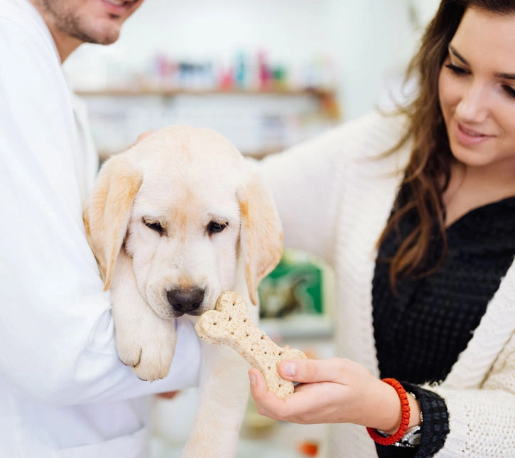 Is ProHeart Right For Your Dog?