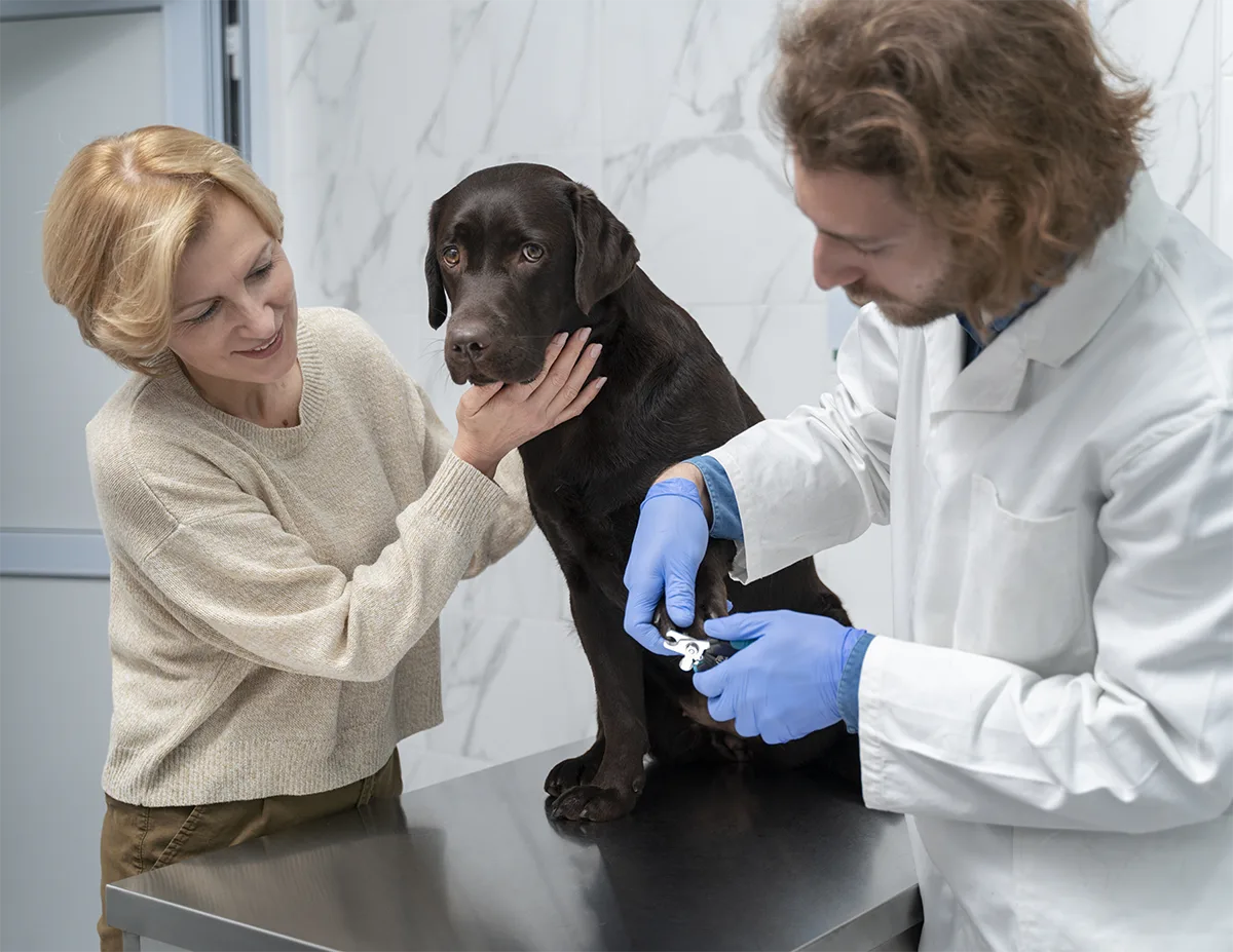 Sick Pet Examinations & Prompt Evaluation