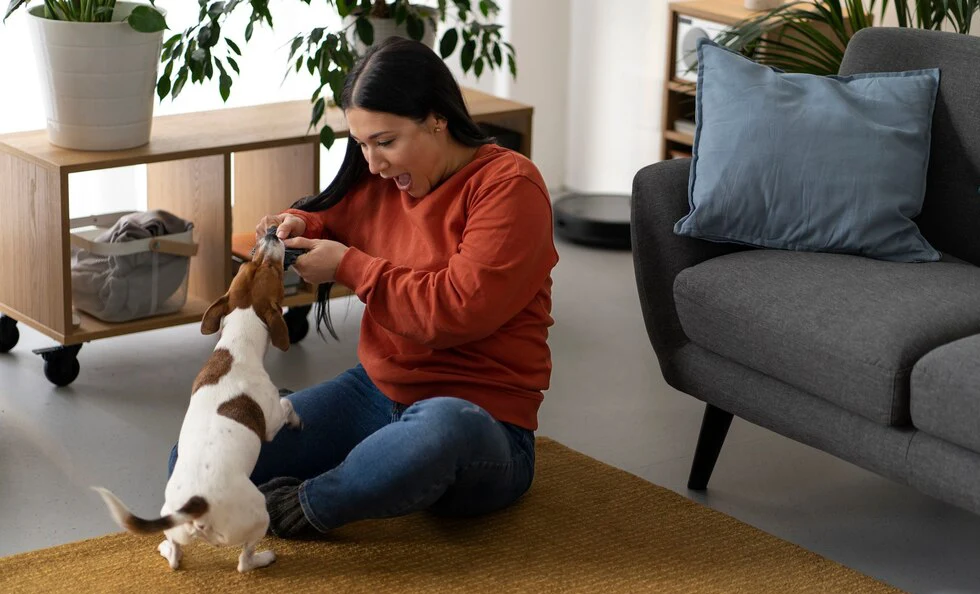 In-House Monitoring & Stabilization