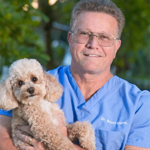 Scott G. Martin, Image