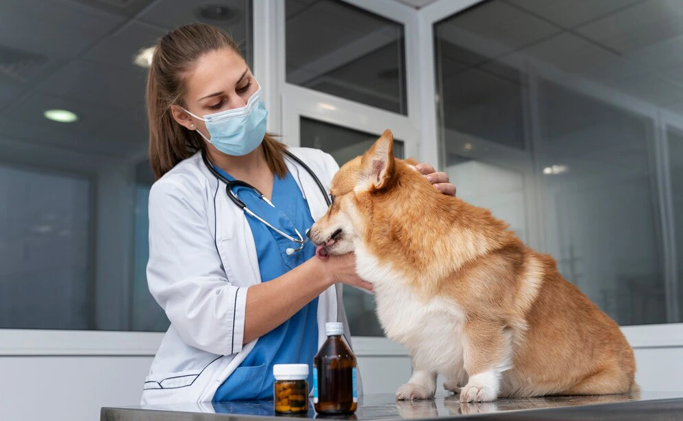 When Is Oxygen Therapy Used?